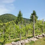 Alpine Near Cafes * 勒梅尼勒