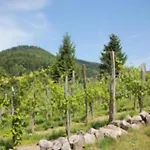 Alpine Near Cafes * 勒梅尼勒