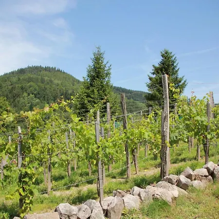 Chalet With Skiing And Horse Riding Nearby * Le Menil