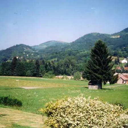 Alpine Near Cafes Chalet Le Ménil