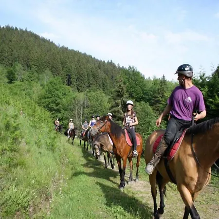 Chalet Chalet With Skiing And Horse Riding Nearby Le Menil