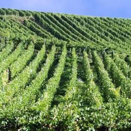 Chalet Alpine Near Cafes Le Ménil