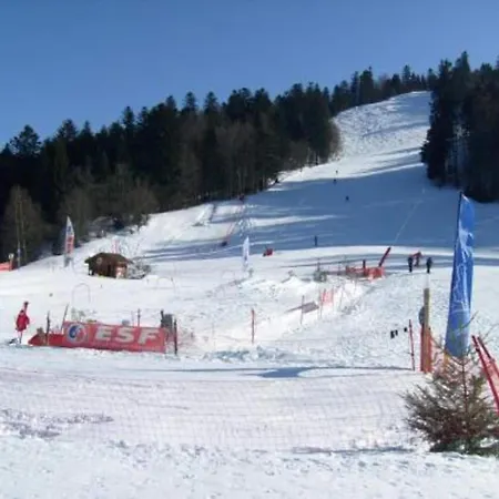 Alpine Near Cafes Chalet *