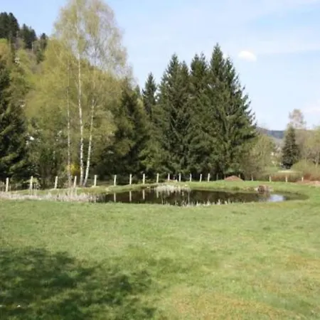 Chalet With Skiing And Horse Riding Nearby