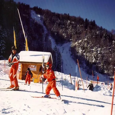 Chalet Alpine Near Cafes