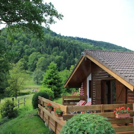 Chalet With Skiing And Horse Riding Nearby *