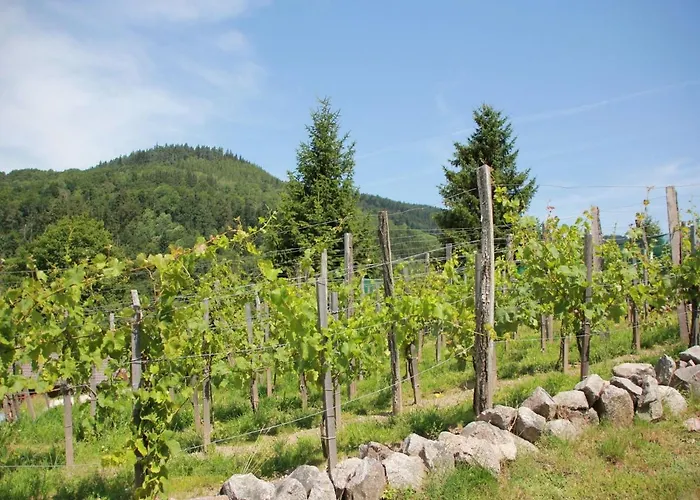 Alpine Near Cafes * Le Ménil