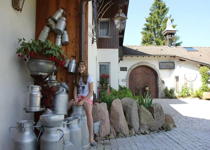 Alpine Near Cafes Alpstuga *