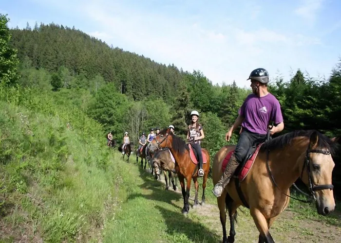 Alpstuga Alpine Near Cafes Le Ménil