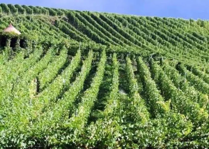 Alpstuga Alpine Near Cafes Le Ménil