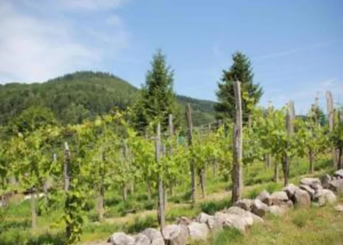 Alpine Near Cafes * Le Ménil