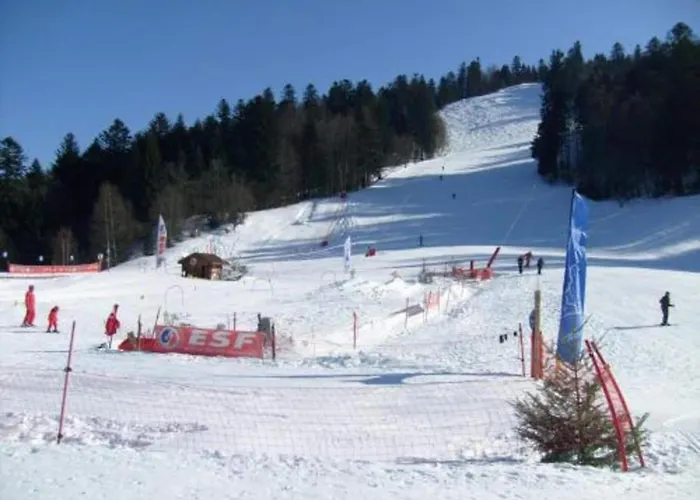 Alpine Near Cafes Alpstuga *