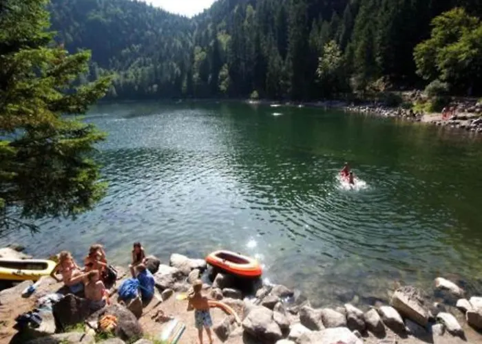 Alpine Near Cafes Alpstuga Le Ménil